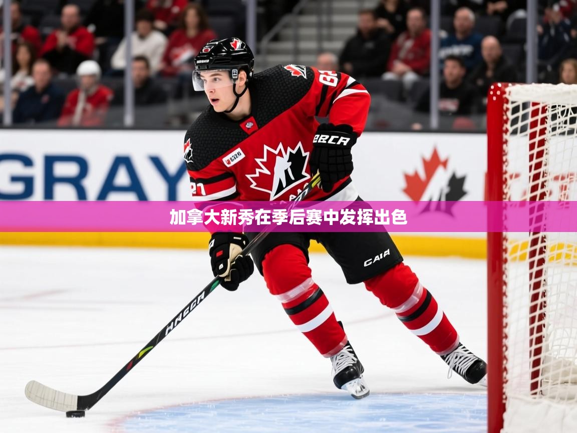 2025极速体育直播nba加拿大新秀在季后赛中发挥出色