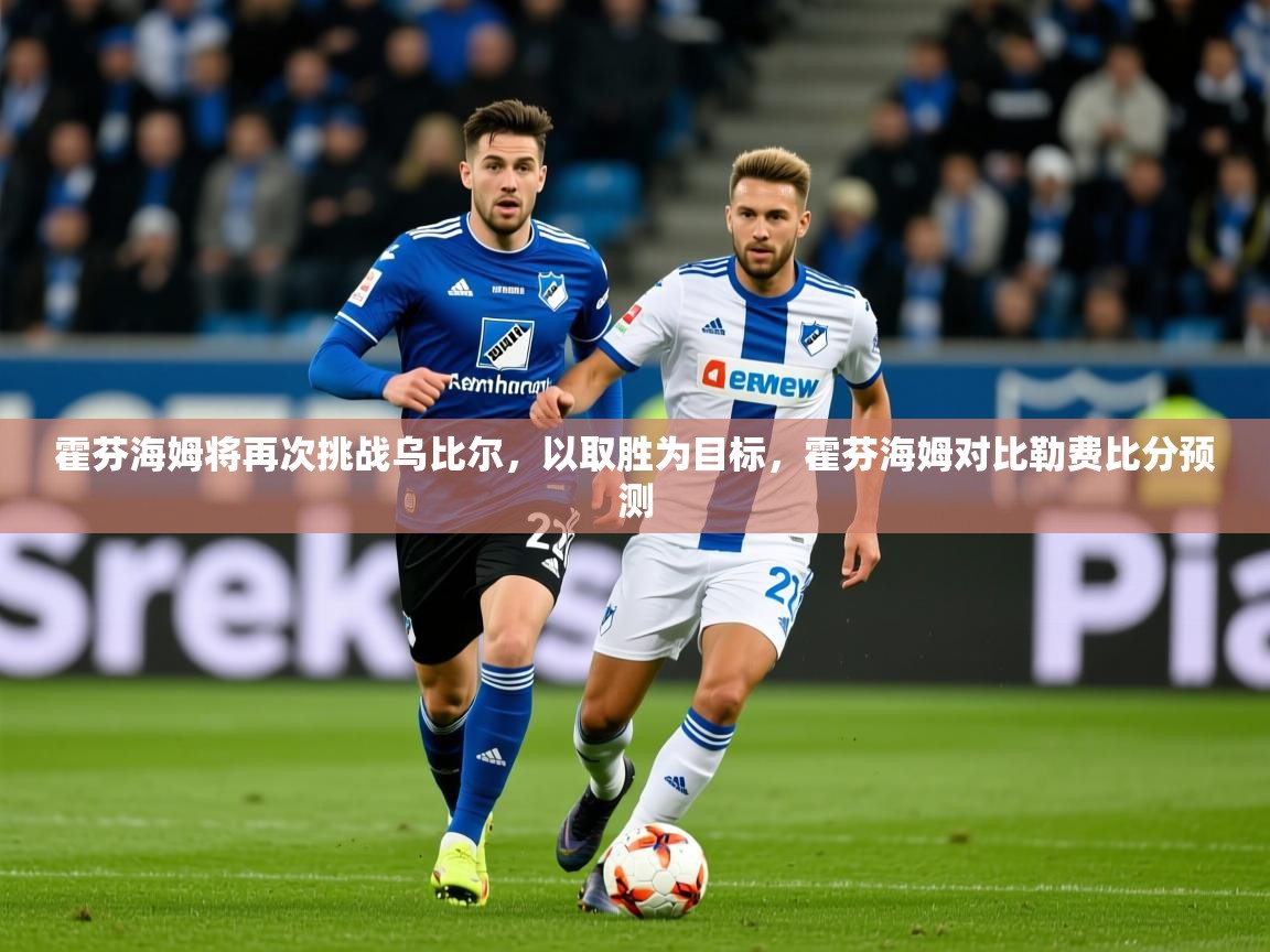 2025极速体育下载霍芬海姆将再次挑战乌比尔,以取胜为目标,霍芬海姆对比勒费比分预测 第2张