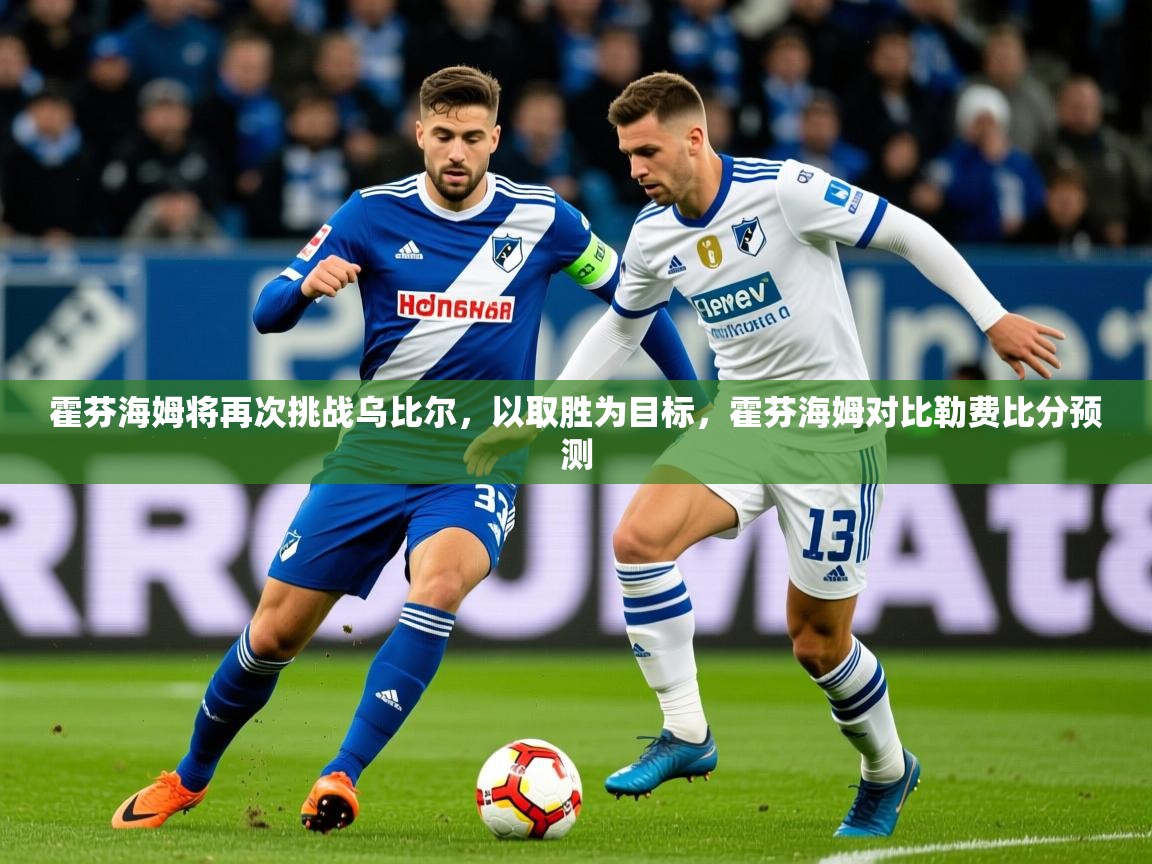 2025极速体育下载霍芬海姆将再次挑战乌比尔,以取胜为目标,霍芬海姆对比勒费比分预测 第4张